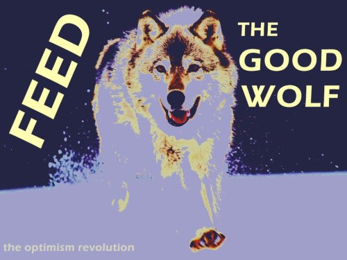 feed the good wolf Optimism Revolution