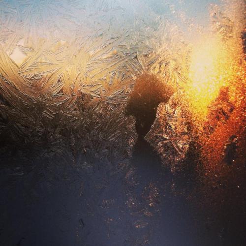 sunrise through the icy windows Jane Filos Dagley