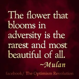 flower blooming in adversity