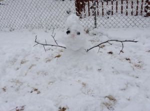 snowman Jan 2, 2014