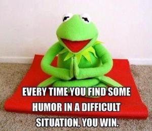 humor in difficult situations pic of Kermit