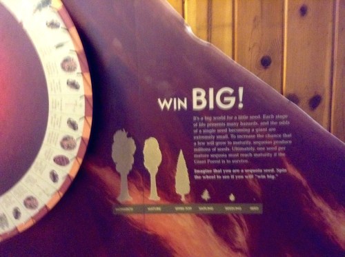win big Sequoia seed