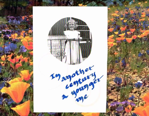 little Terry on flowered background (2)