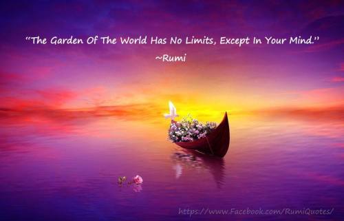 Rumi the garden of the world no limits