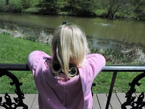 Ella back view at Mt. Airy Park April 2015