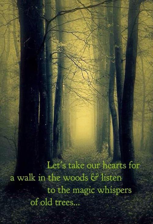 take-hearts-for-walk-in-the-woods