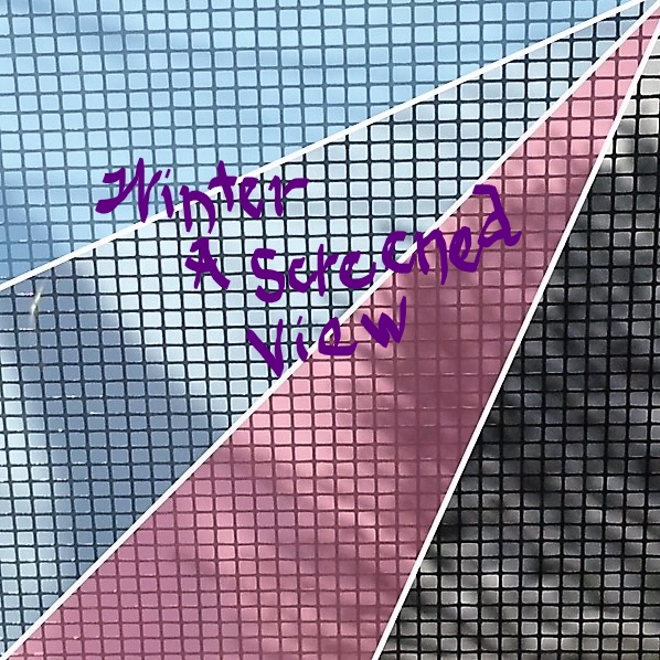 winter through the screen (2)_LI