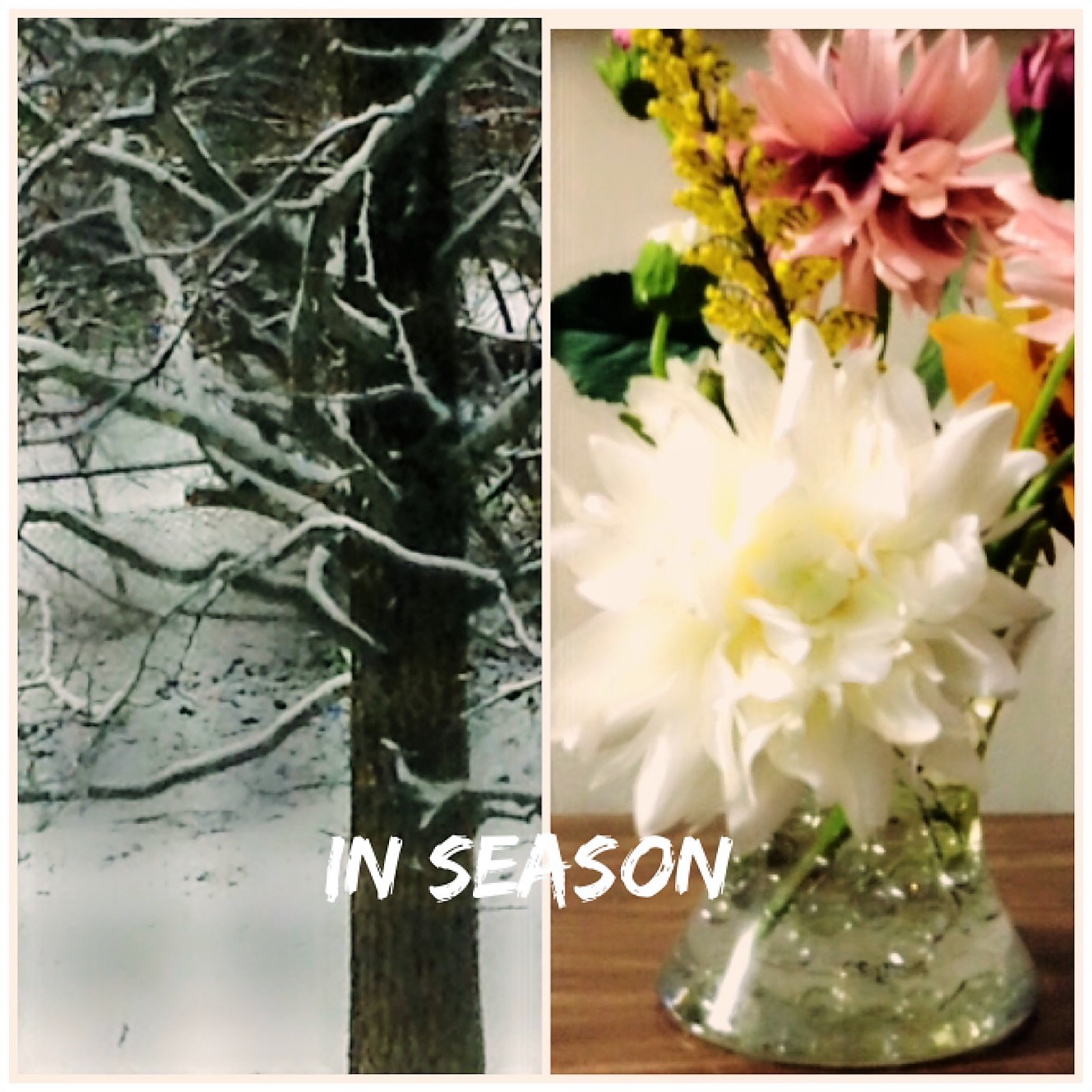 seasons