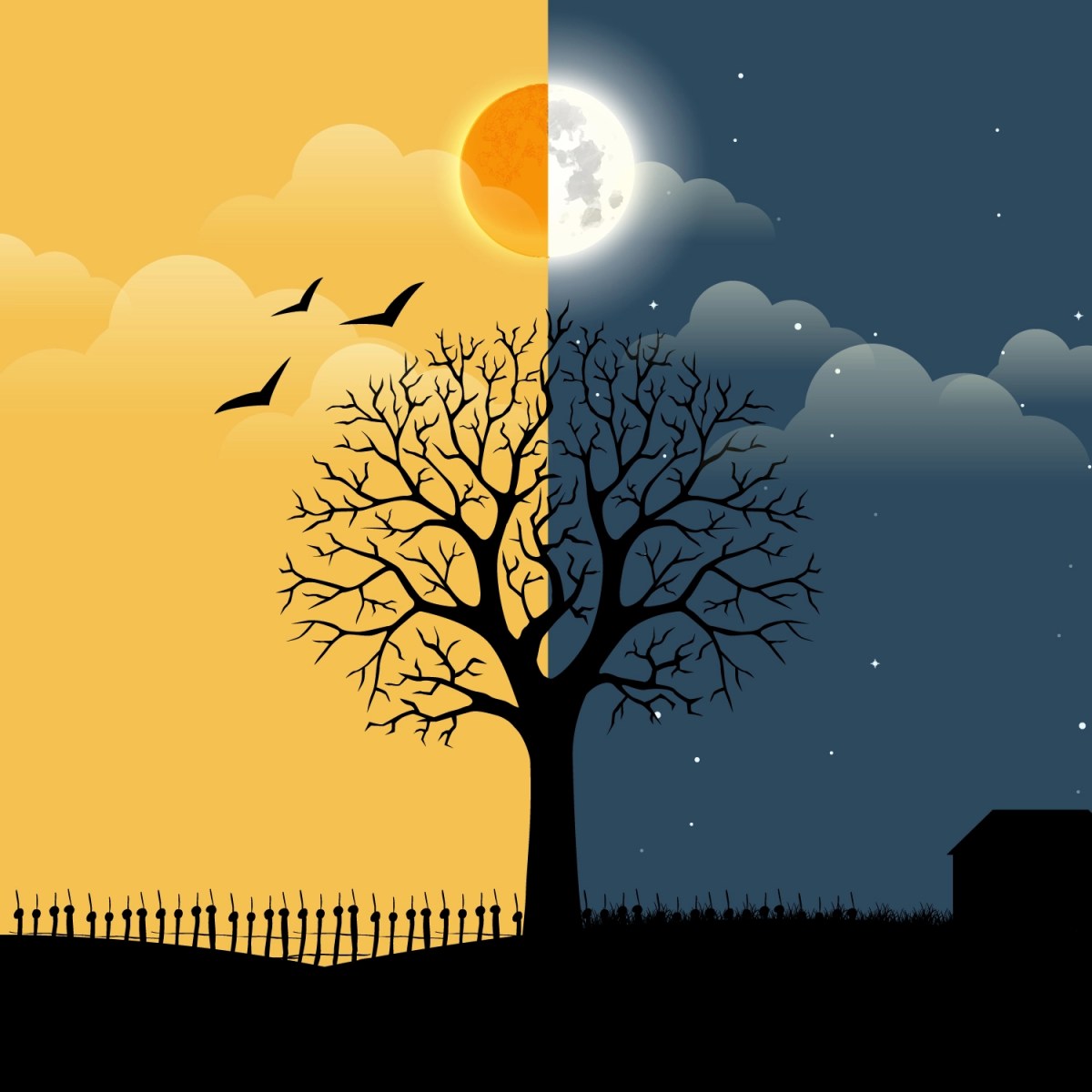 Fog, Sun, and&nbsp;Hope